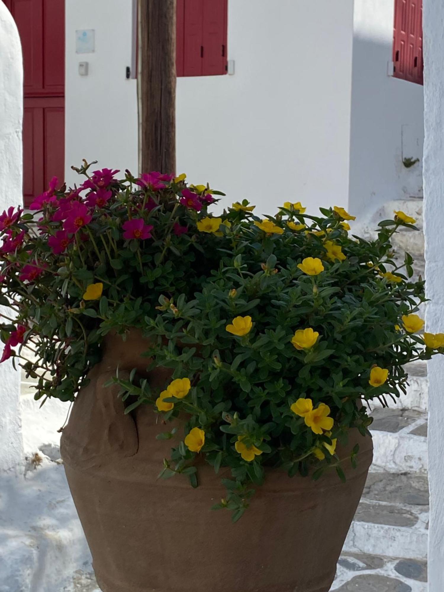 Pensione Della Nonna Hotel Mykonos Town Buitenkant foto